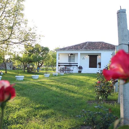 "Per Mik" Cottage In Vineyard Shkodër Exteriér fotografie