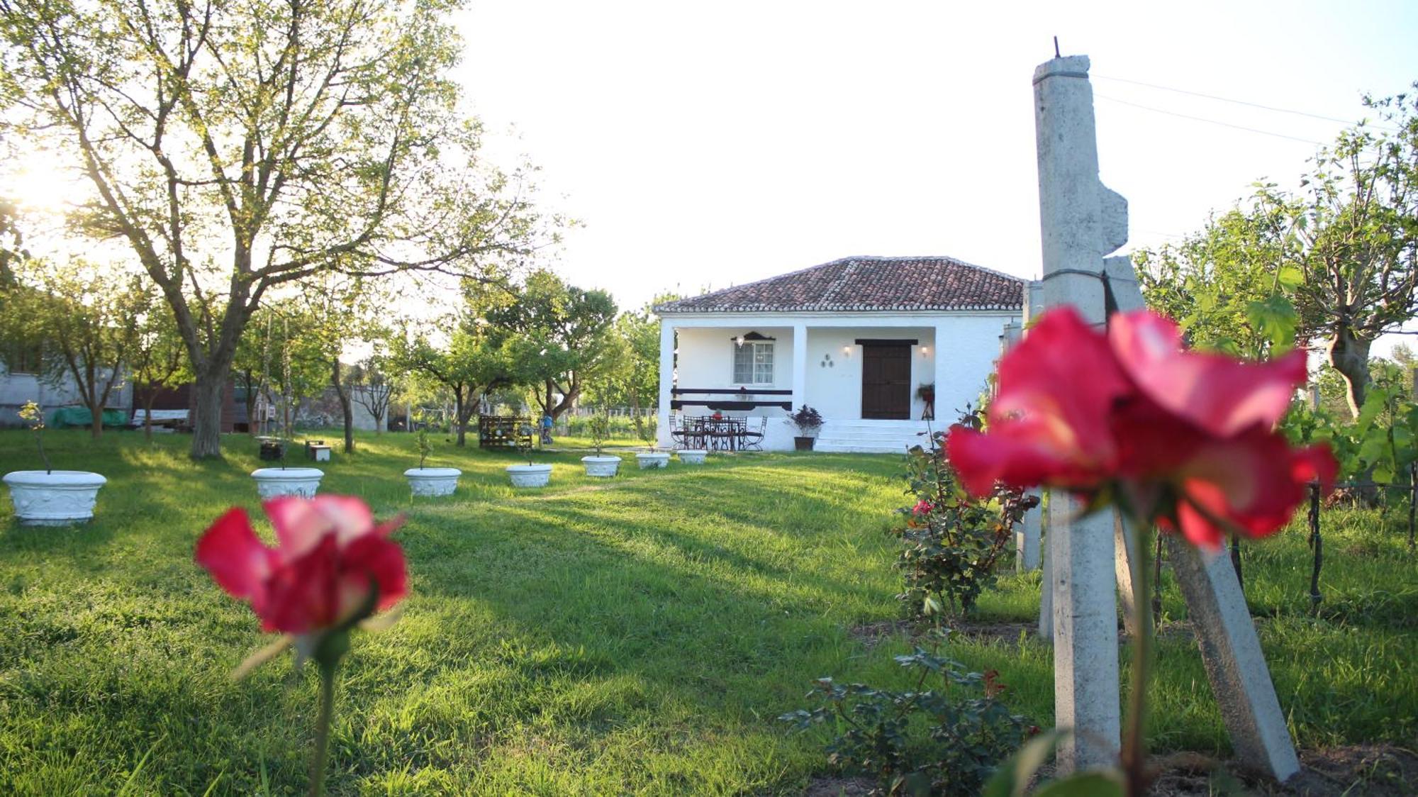 "Per Mik" Cottage In Vineyard Shkodër Exteriér fotografie