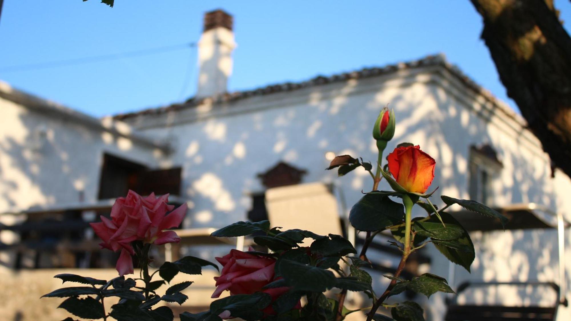 "Per Mik" Cottage In Vineyard Shkodër Exteriér fotografie