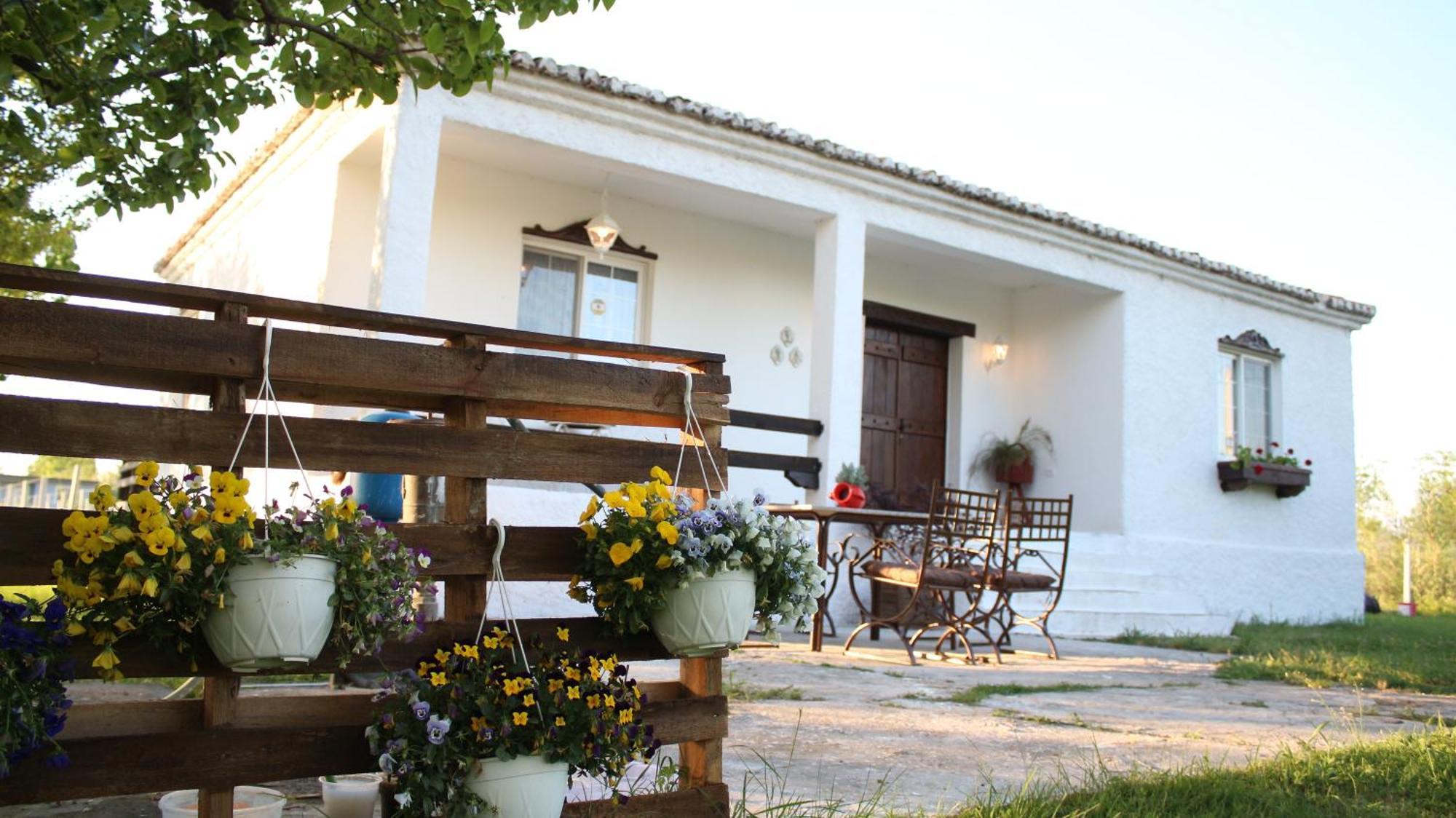 "Per Mik" Cottage In Vineyard Shkodër Exteriér fotografie